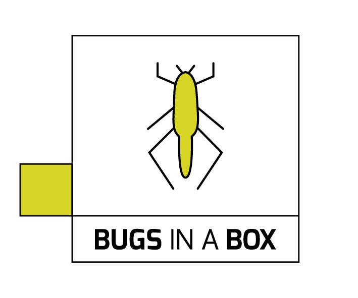 Logo Bugs in a Box