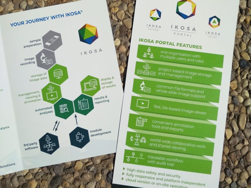 Folder & Flyer